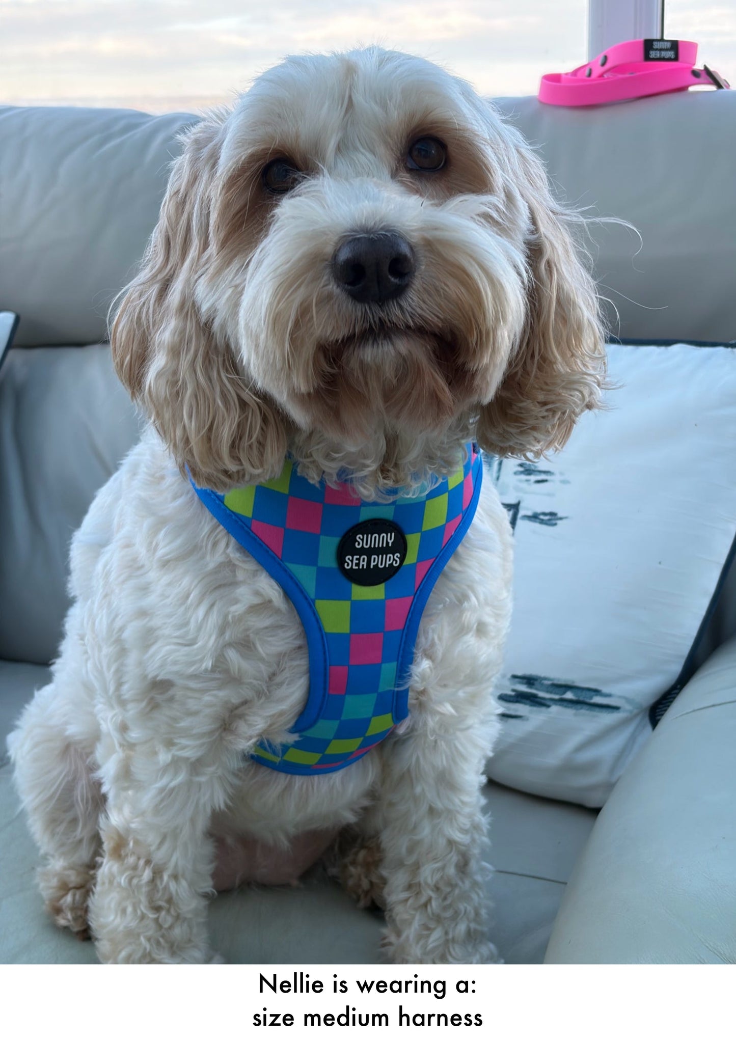 Check the Tides - Adjustable Harness