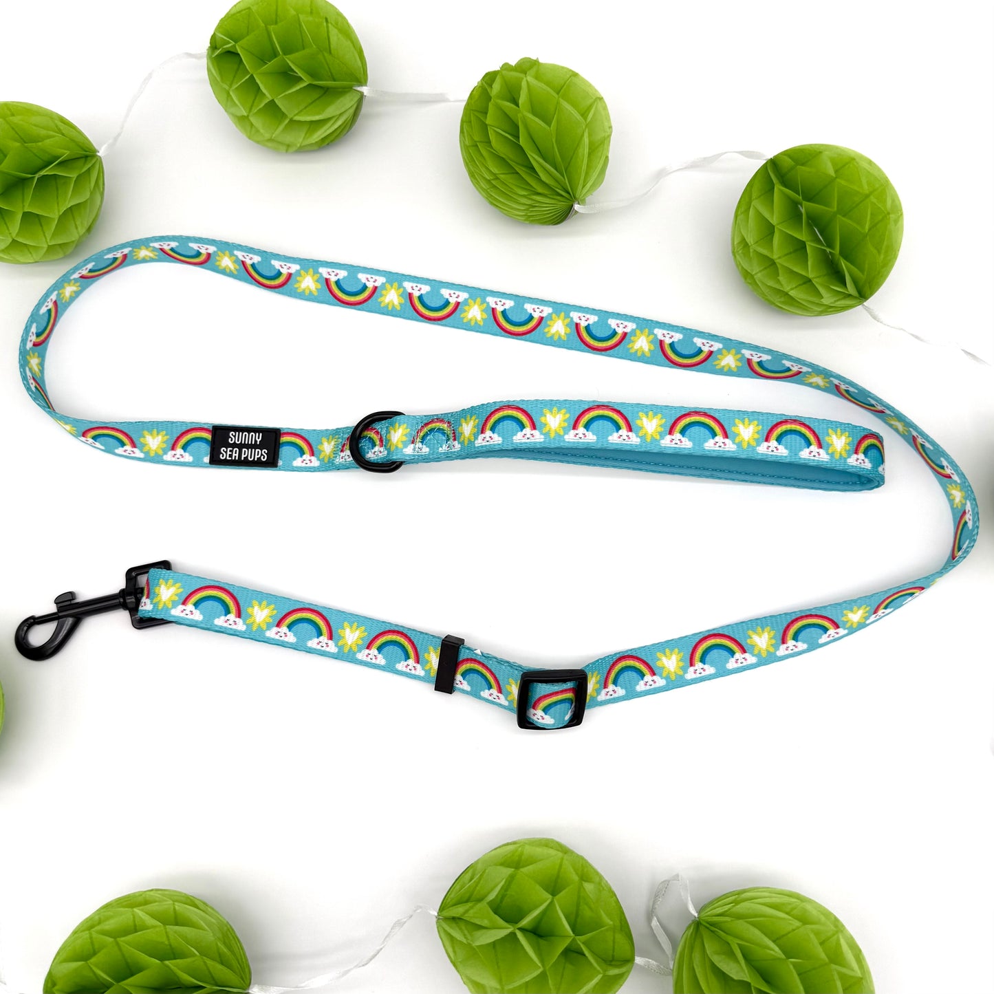 Chasing Rainbows - Adjustable Lead
