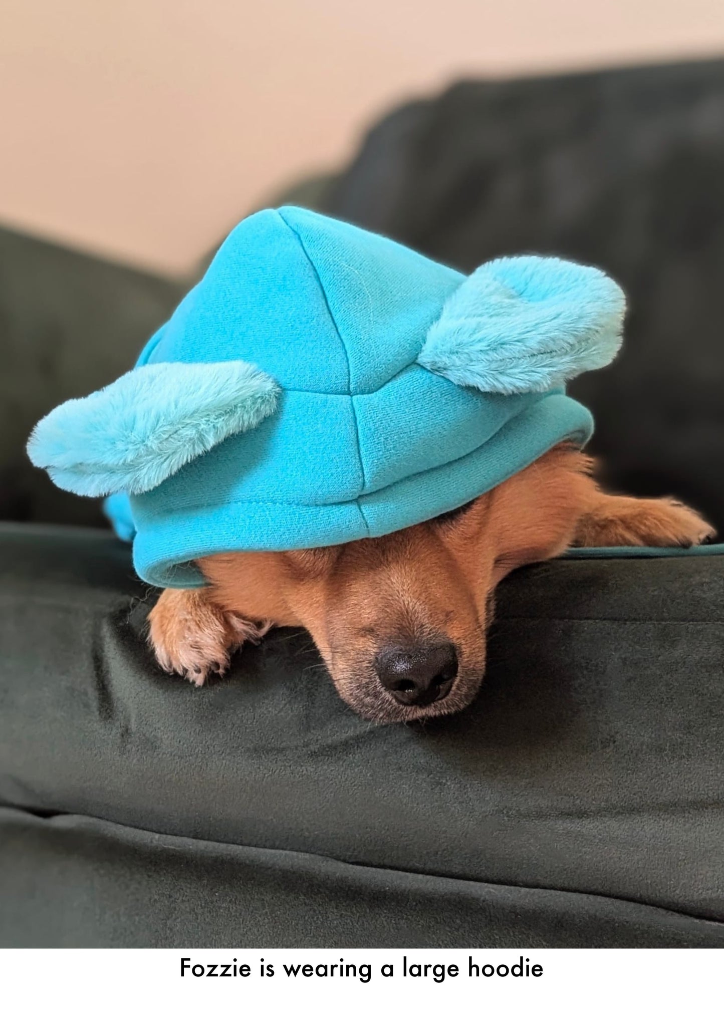 Turquoise - Teddy Bear Hoodie