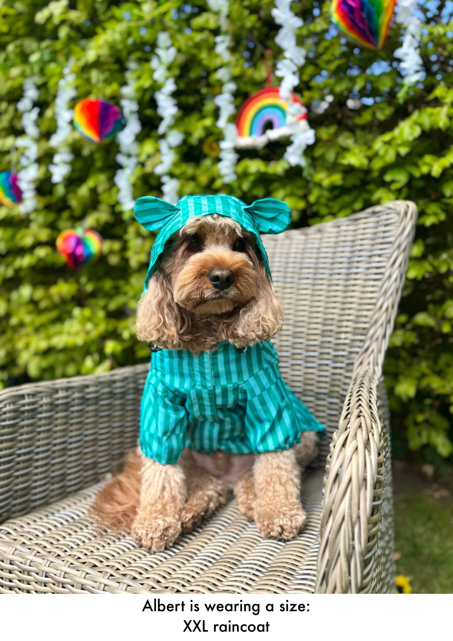 Coastal Calm - Lightweight Teddy Raincoat