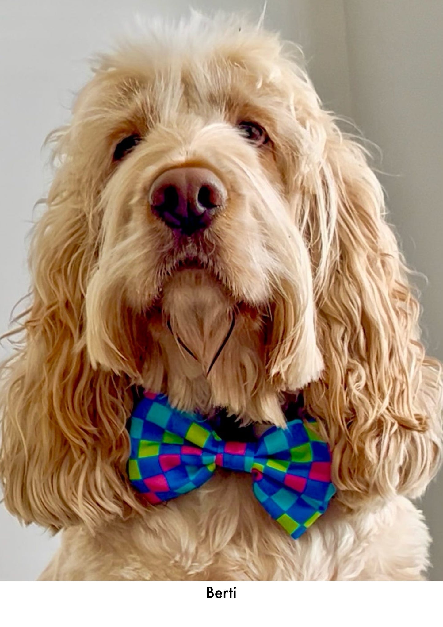 Check the Tides -  Bow Tie