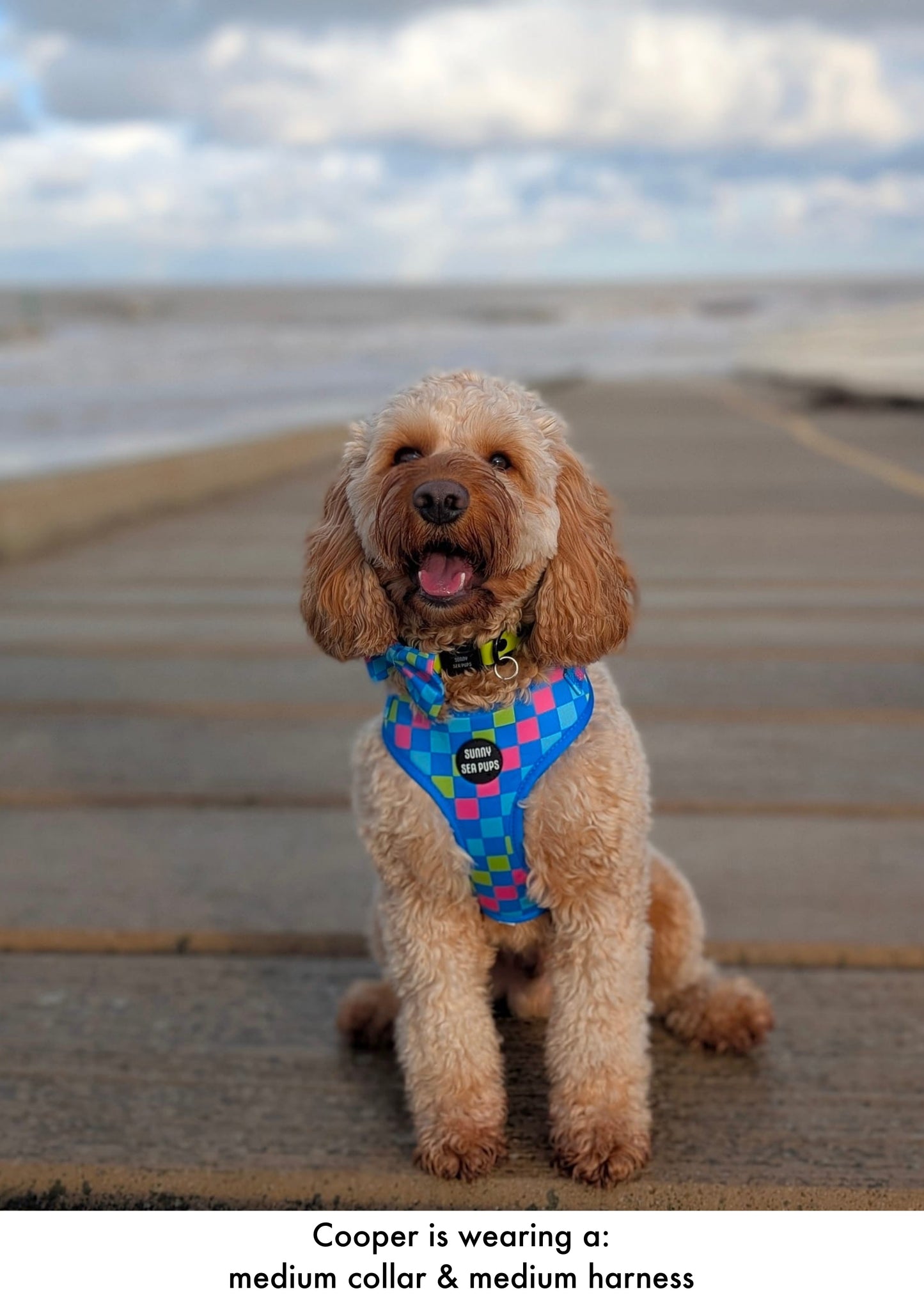 Check the Tides - Adjustable Harness