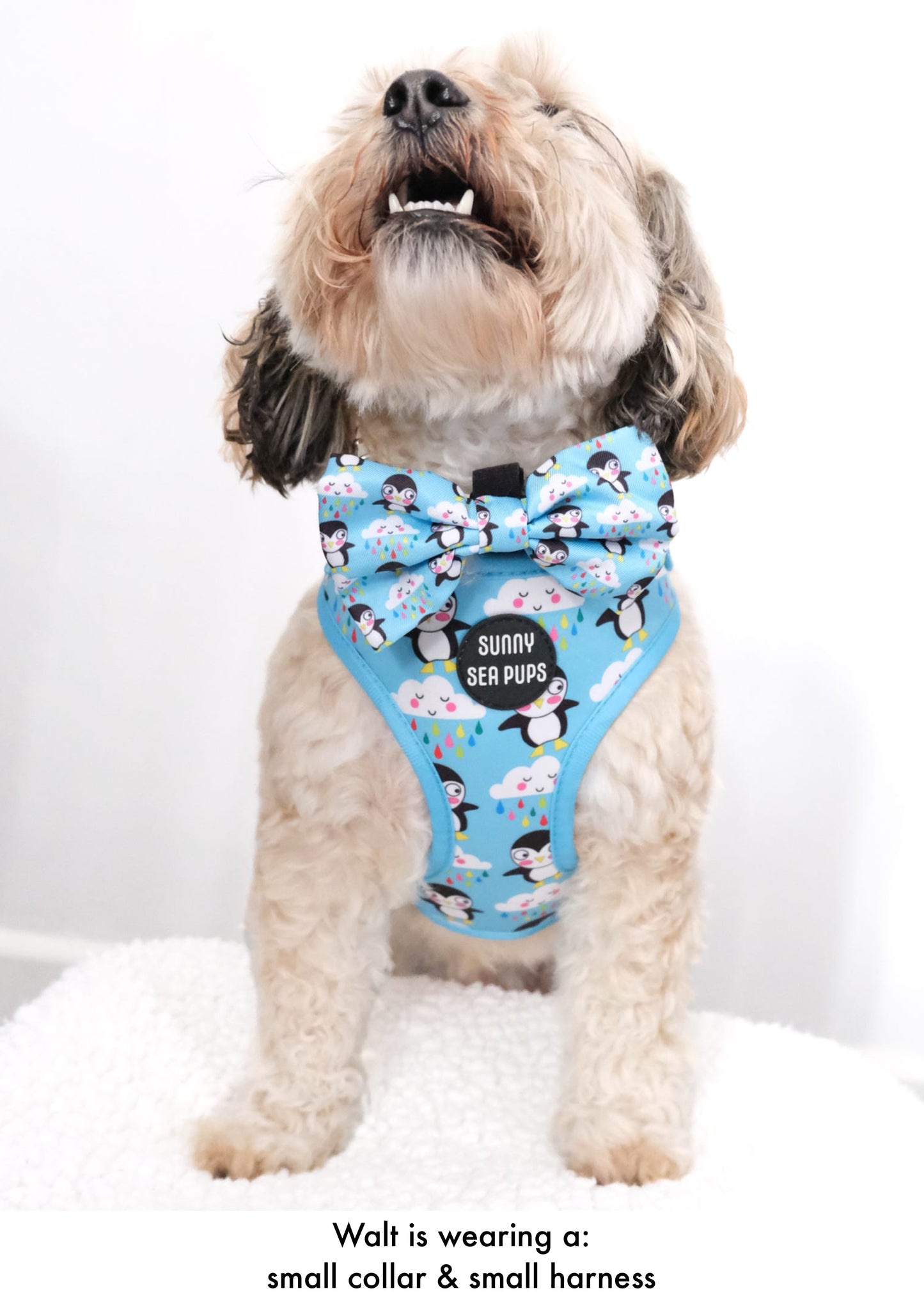 Lil Puddle Penguins - Bow Tie