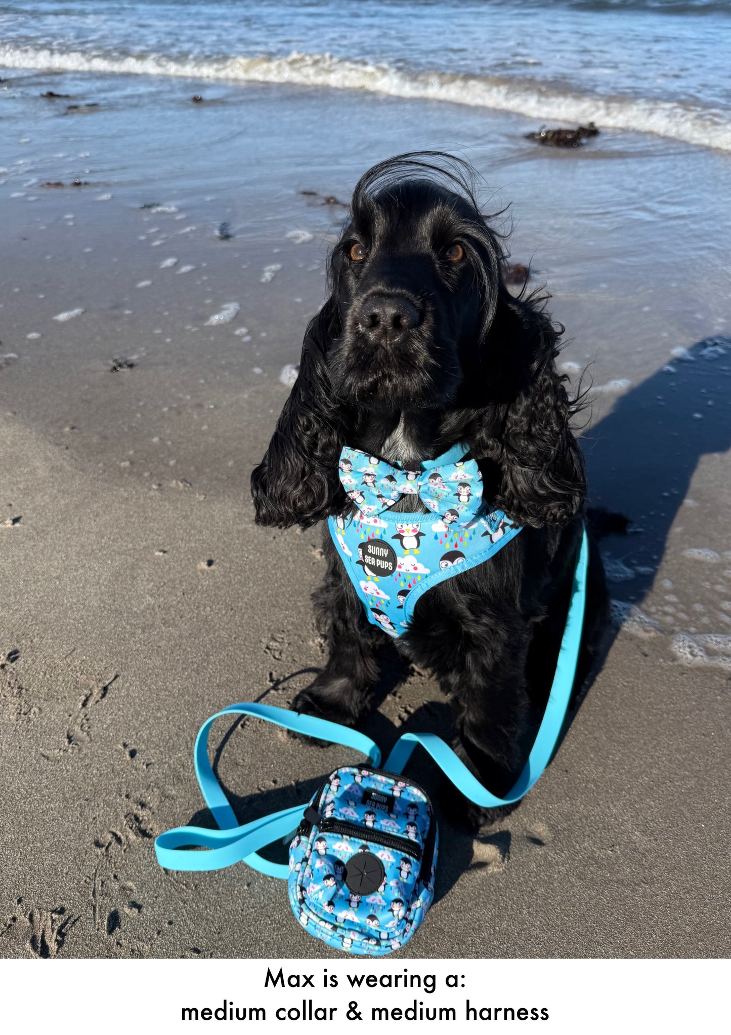 Blue - Waterproof Lead