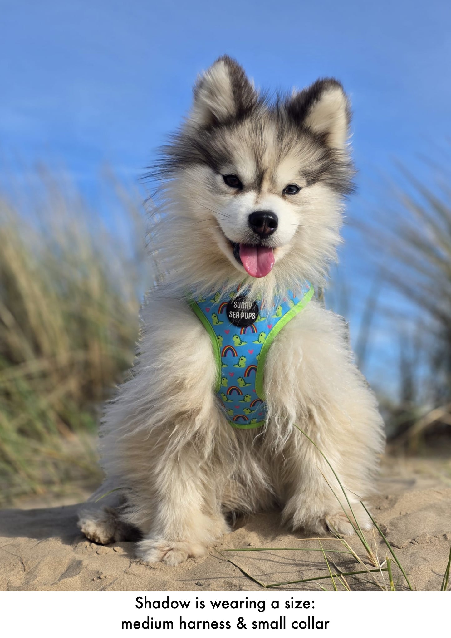 Lil Sea-Saurus - Adjustable Harness