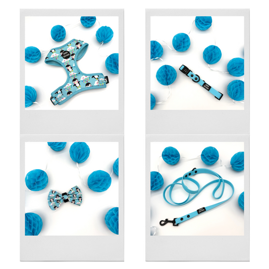 Lil Puddle Penguins - Bundle 3: Harness, Bow Tie, Waterproof Collar & Lead