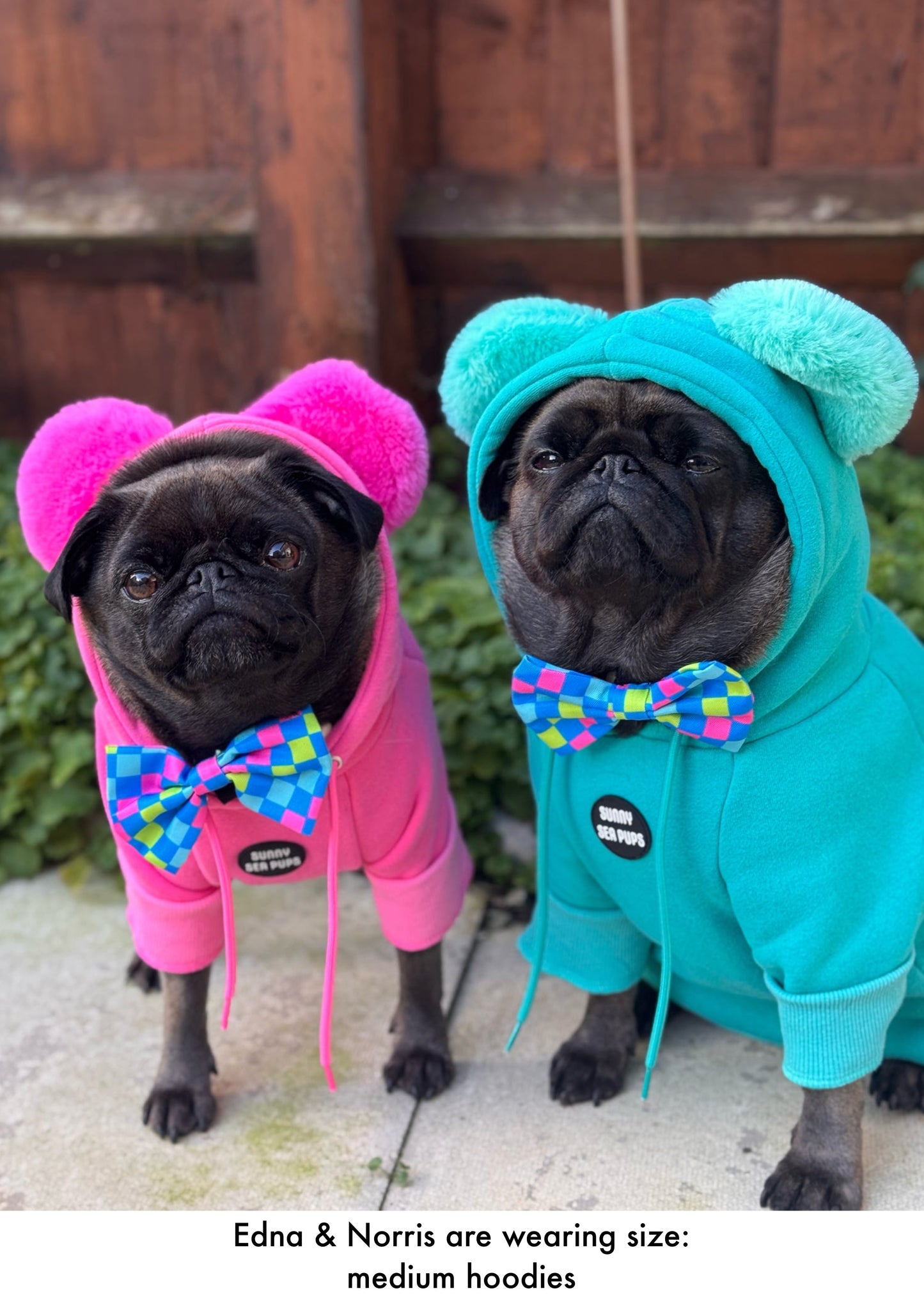 Check the Tides -  Bow Tie