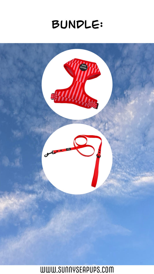 Blush Bay - Bundle 6: Harness & Waterproof Lead