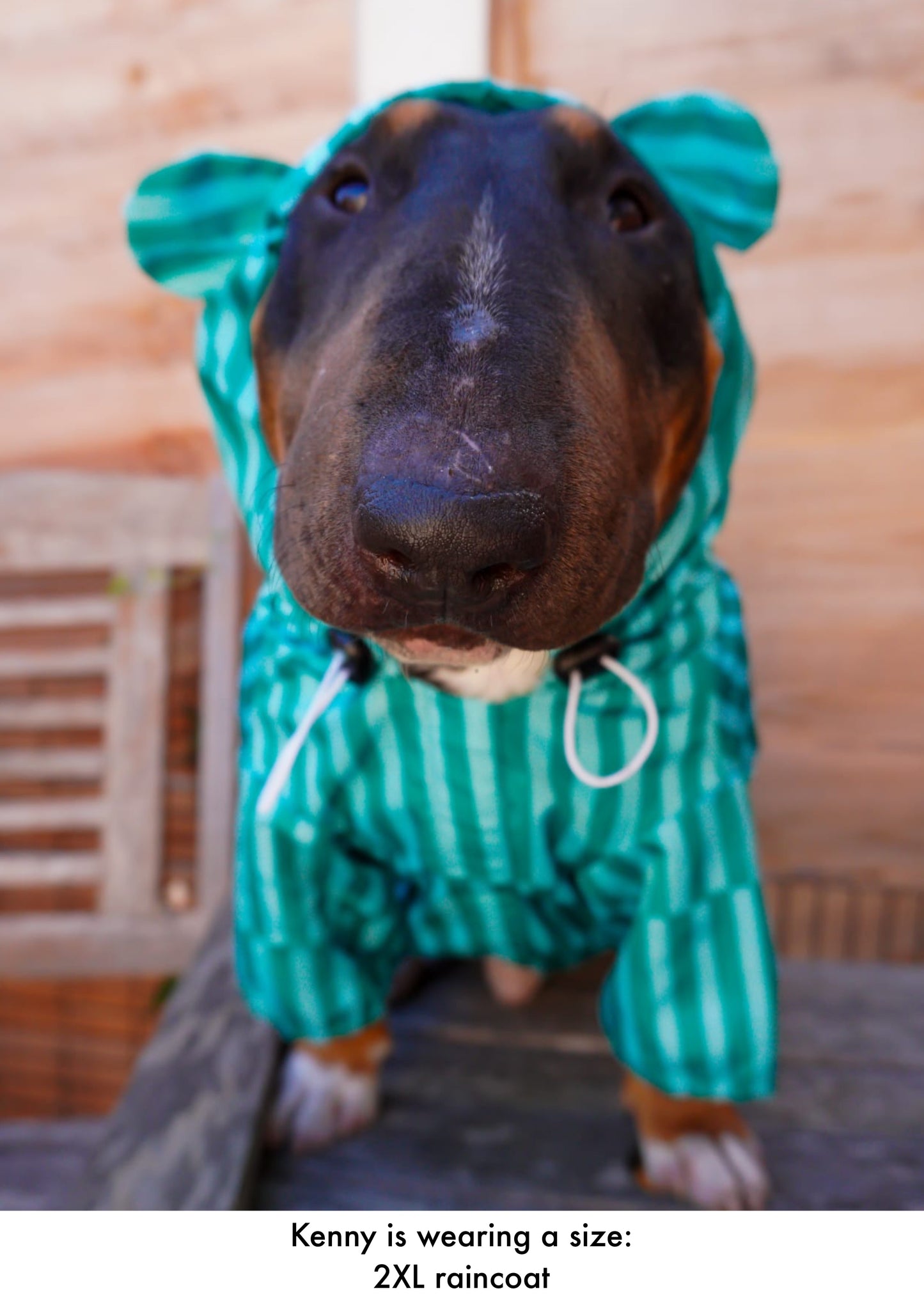 Coastal Calm - Lightweight Teddy Raincoat - PLEASE CHECK MEASUREMENTS