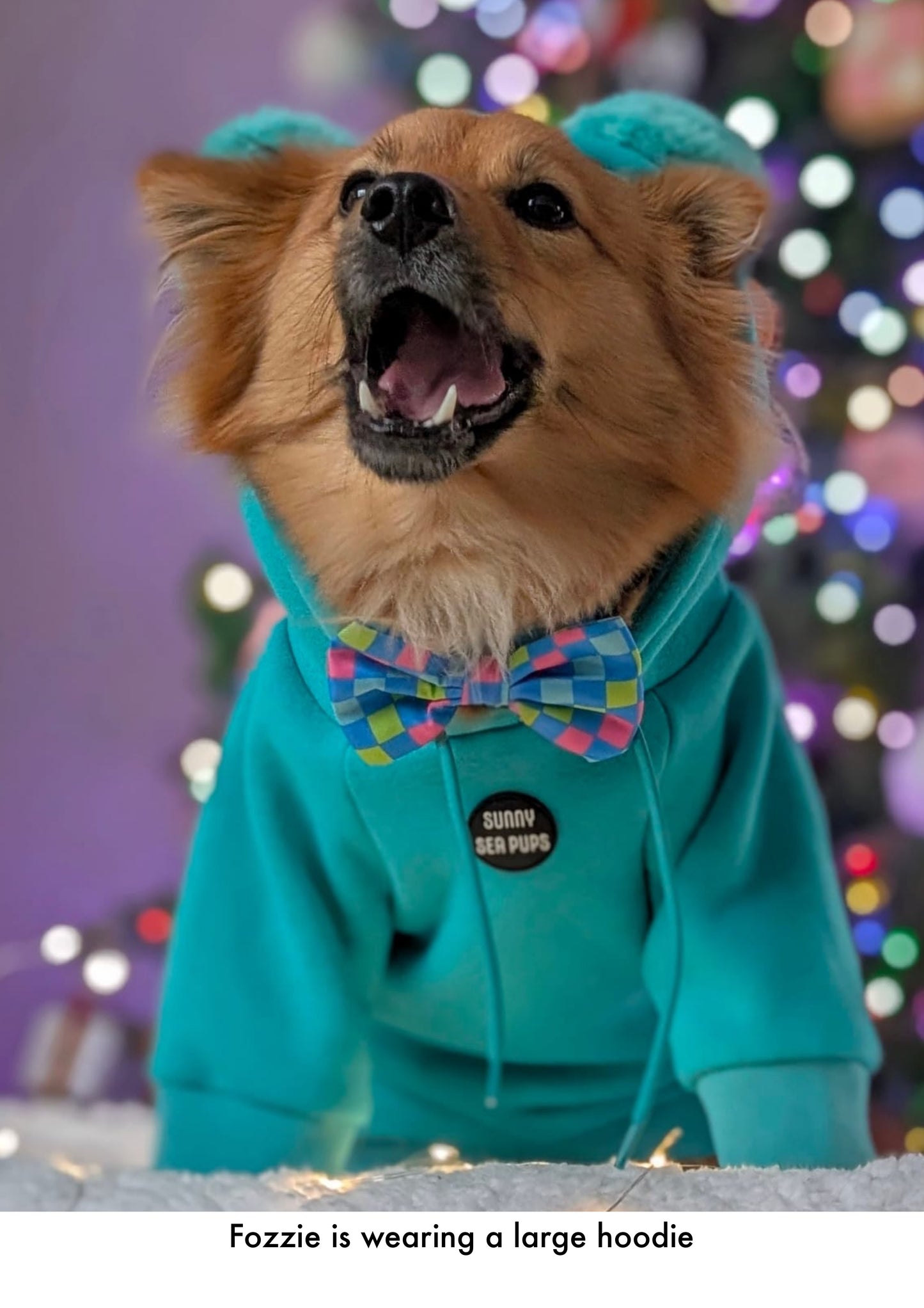 Turquoise - Teddy Bear Hoodie