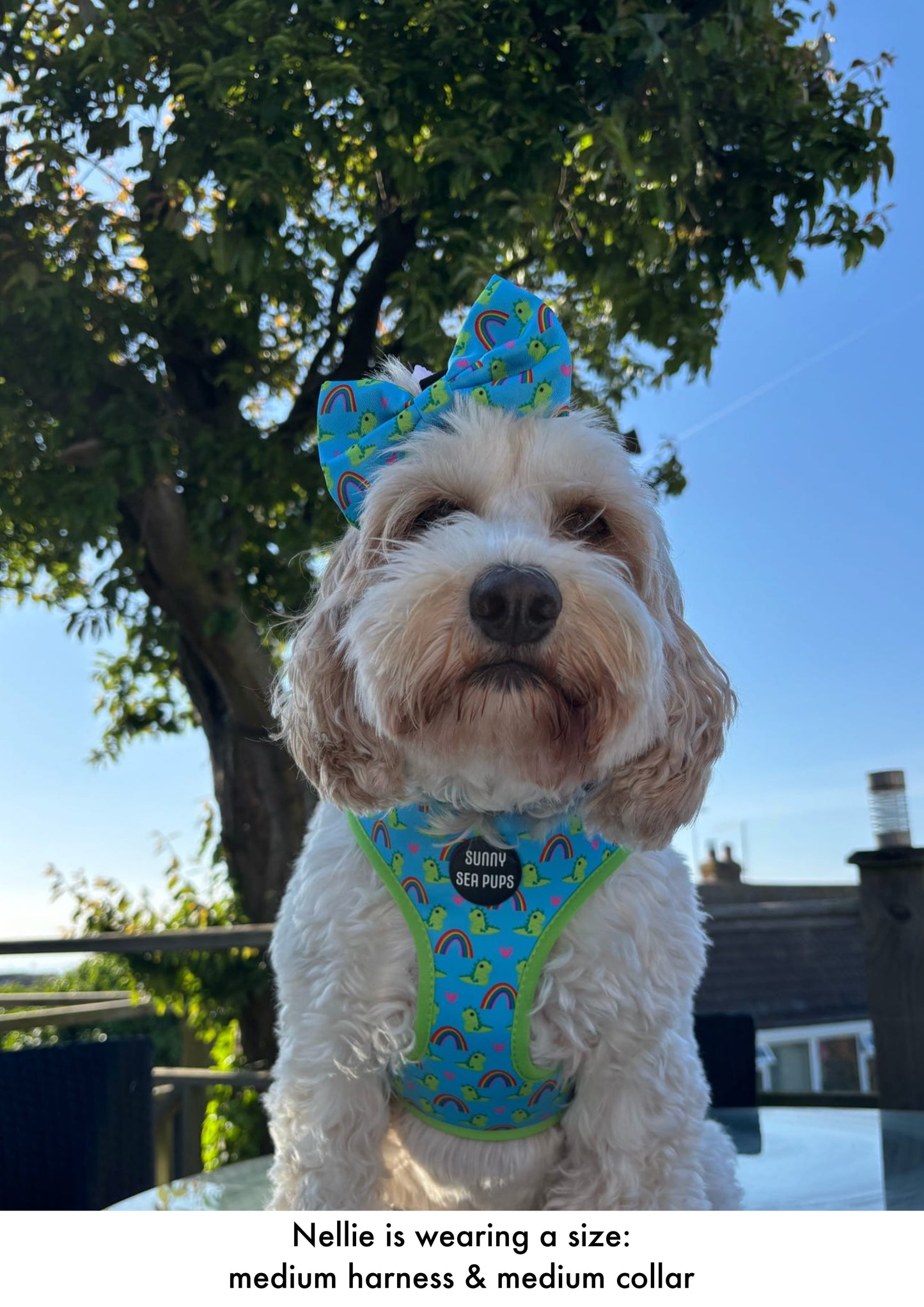 Lil Sea-Saurus - Bow Tie