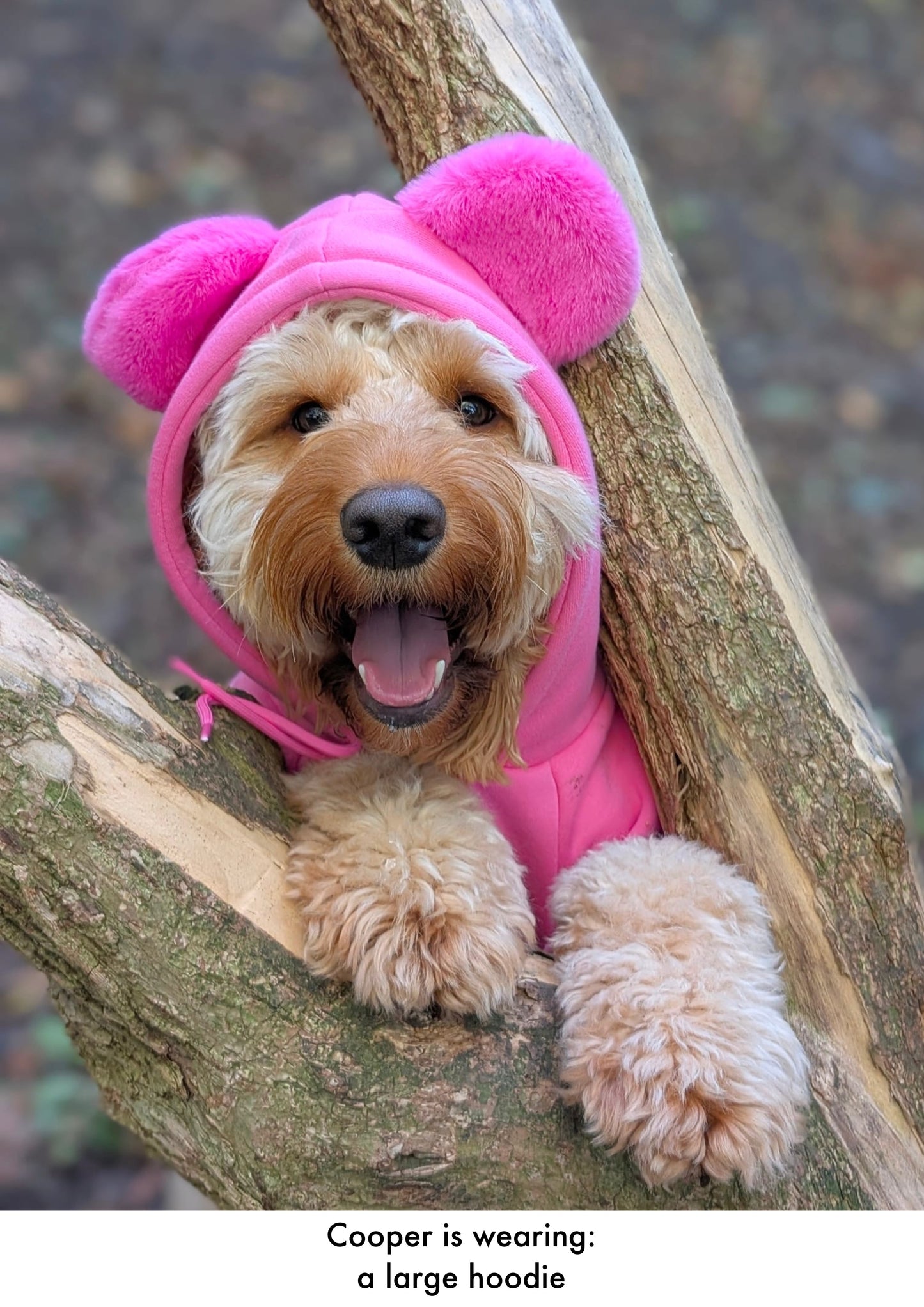 Pink - Teddy Bear Hoodie