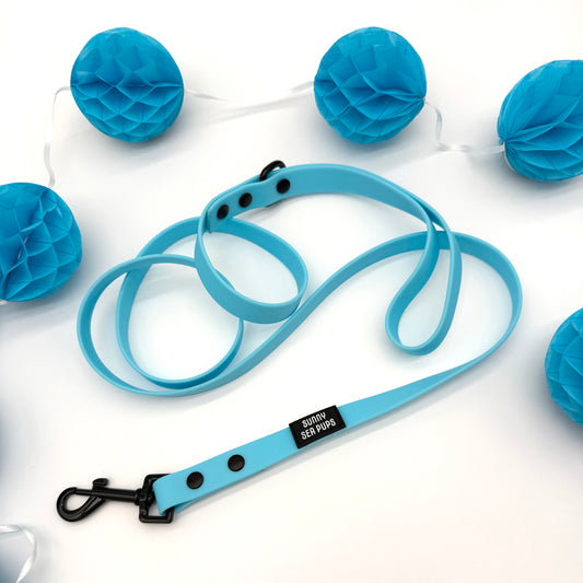 Blue - Waterproof Lead