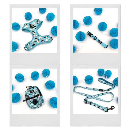 Lil Puddle Penguins - Bundle 8: Harness, Tums & Bums Pouch, Waterproof Collar & Adjustable Lead
