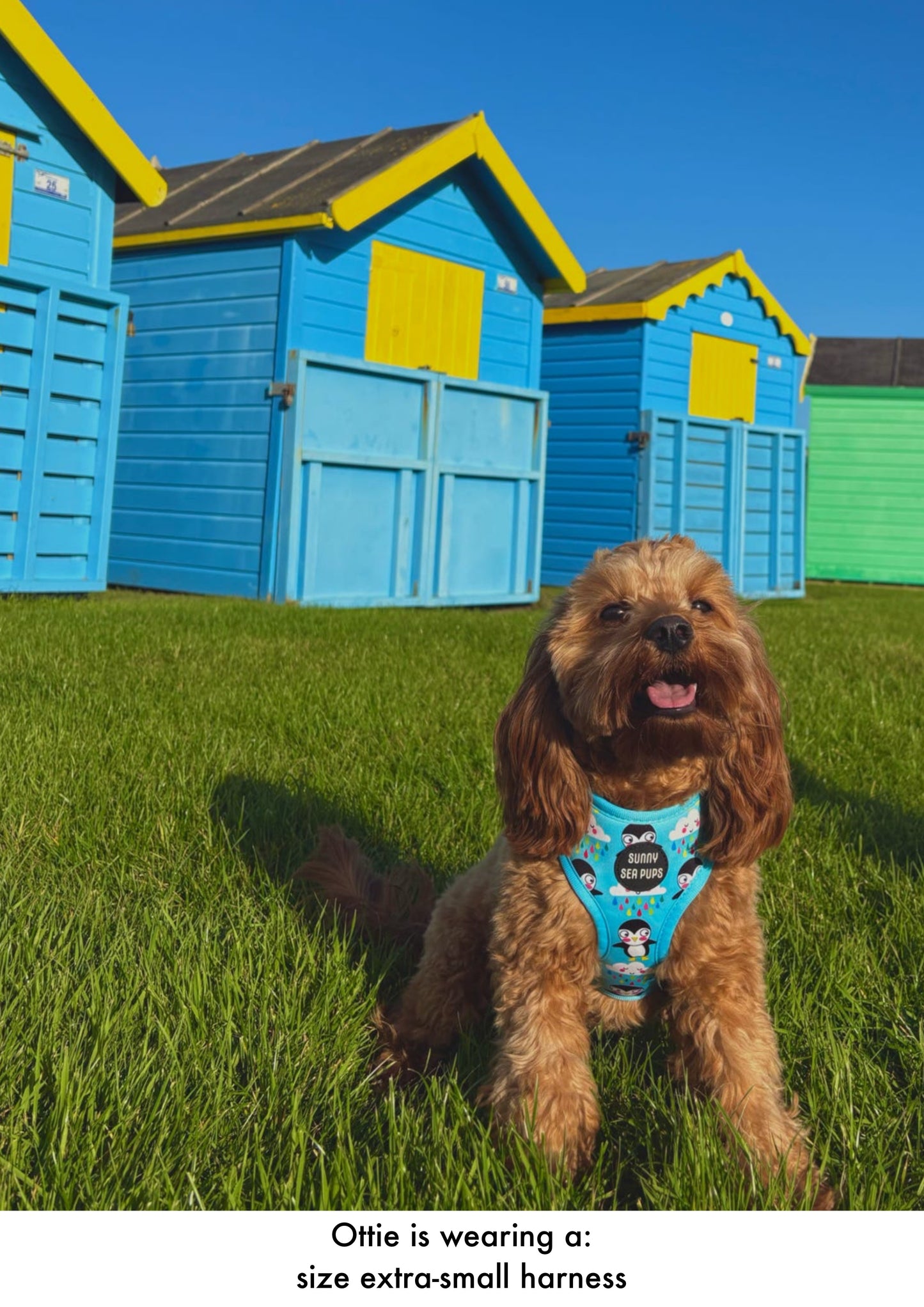 Lil Puddle Penguins - Adjustable Harness