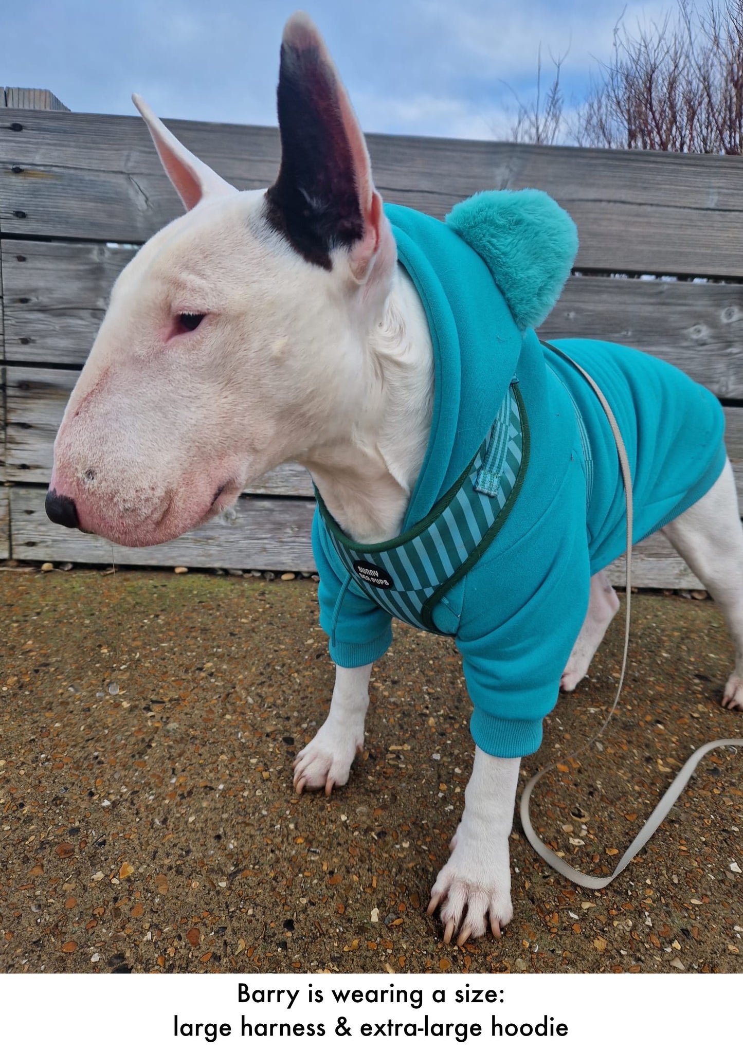 Turquoise - Teddy Bear Hoodie