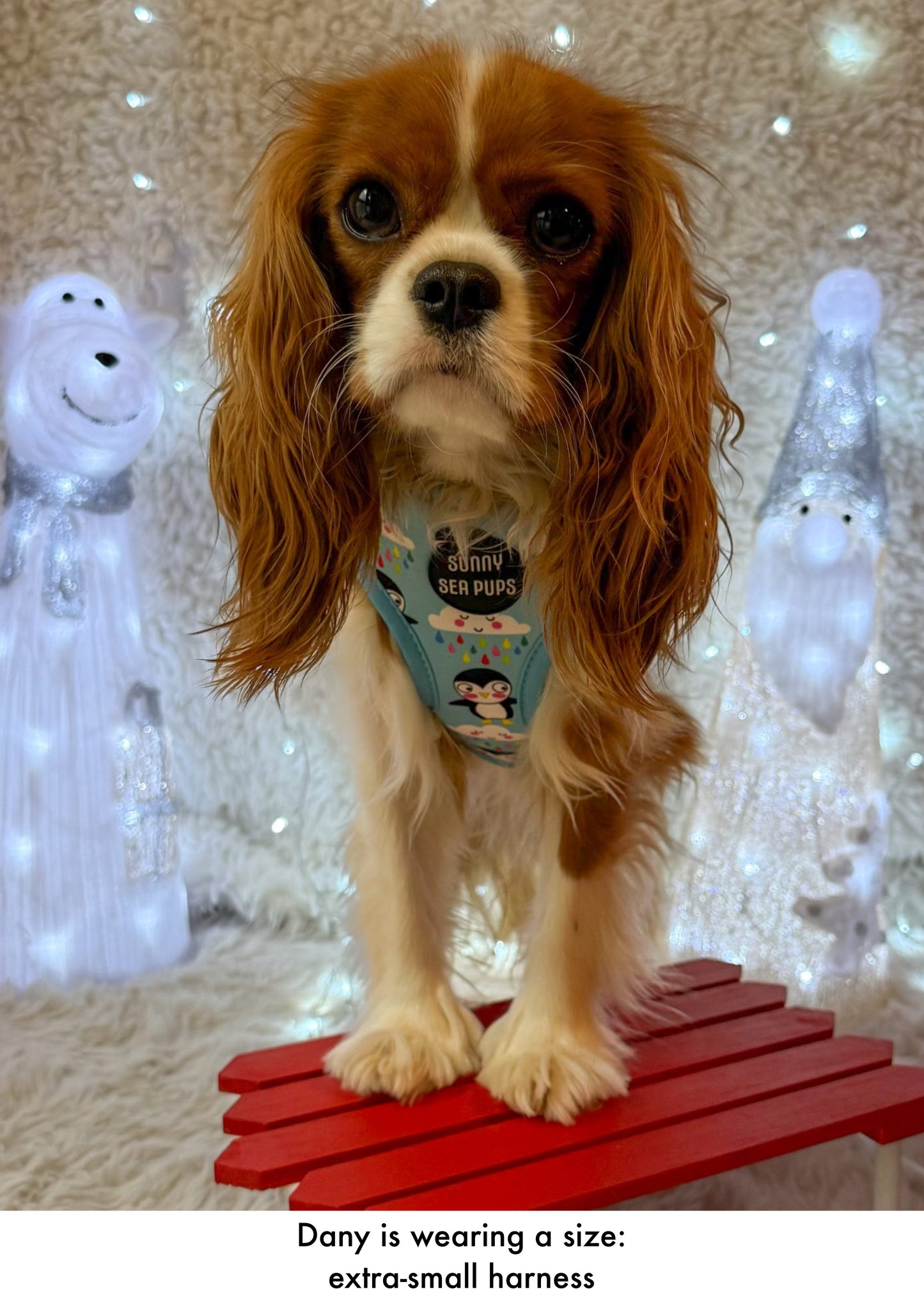 Lil Puddle Penguins - Adjustable Harness