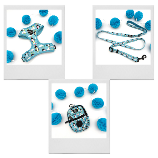 Lil Puddle Penguins - Bundle 11: Harness, Tums & Bums Pouch, Adjustable Lead