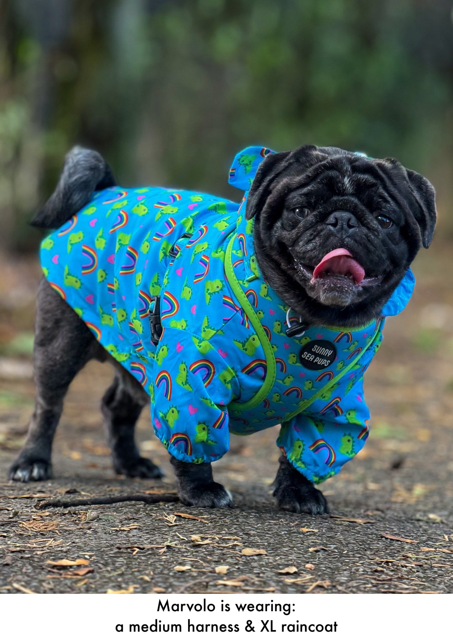Lil Sea-Saurus - Lightweight Teddy Raincoat - PLEASE CHECK MEASUREMENTS