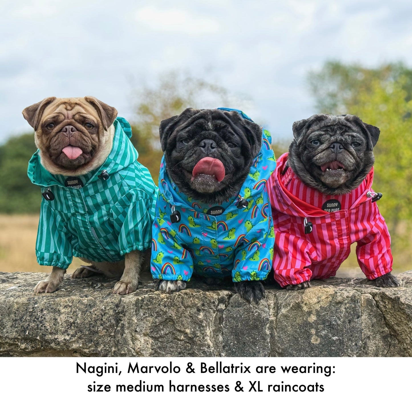 Coastal Calm - Lightweight Teddy Raincoat - PLEASE CHECK MEASUREMENTS