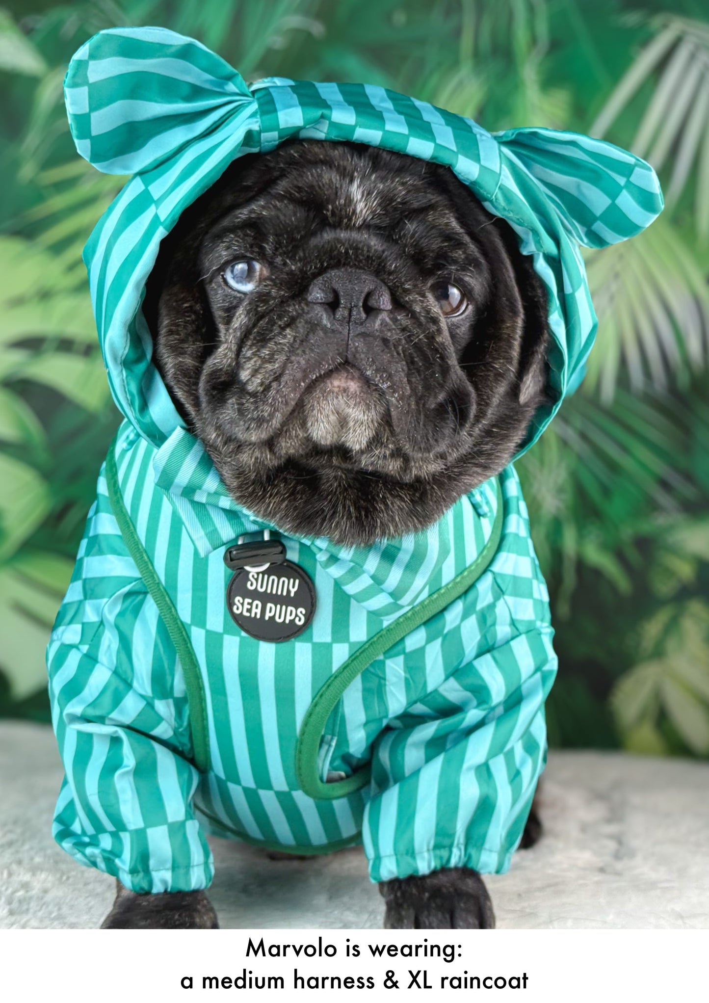 Coastal Calm - Lightweight Teddy Raincoat - PLEASE CHECK MEASUREMENTS