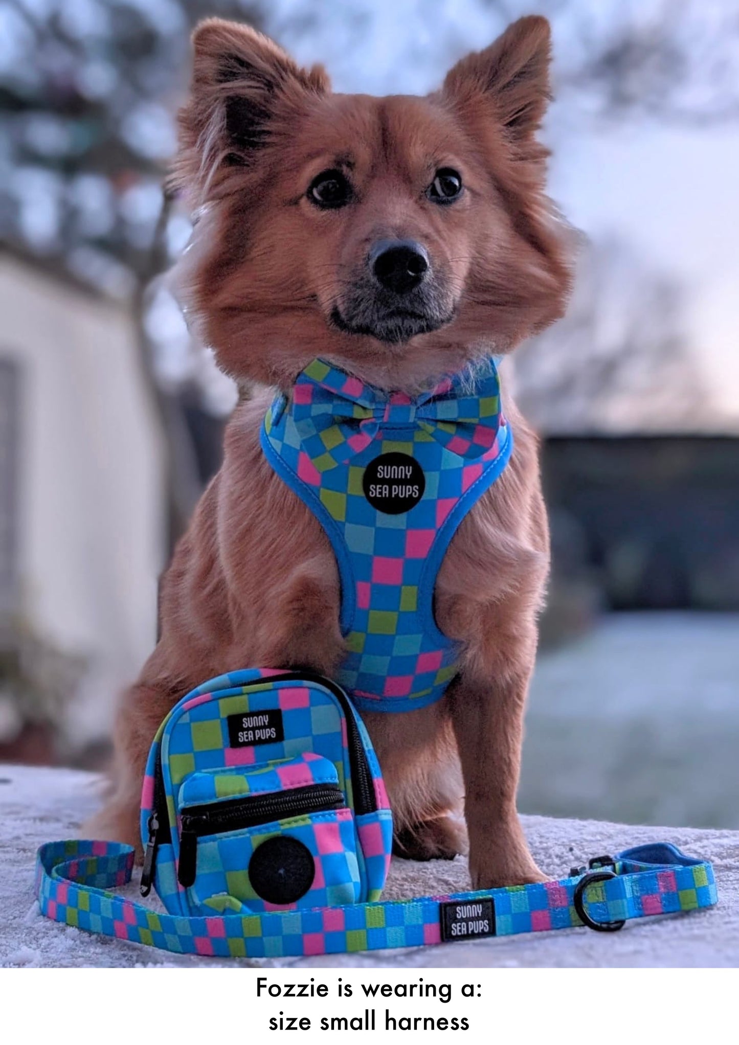 Check the Tides - Adjustable Harness