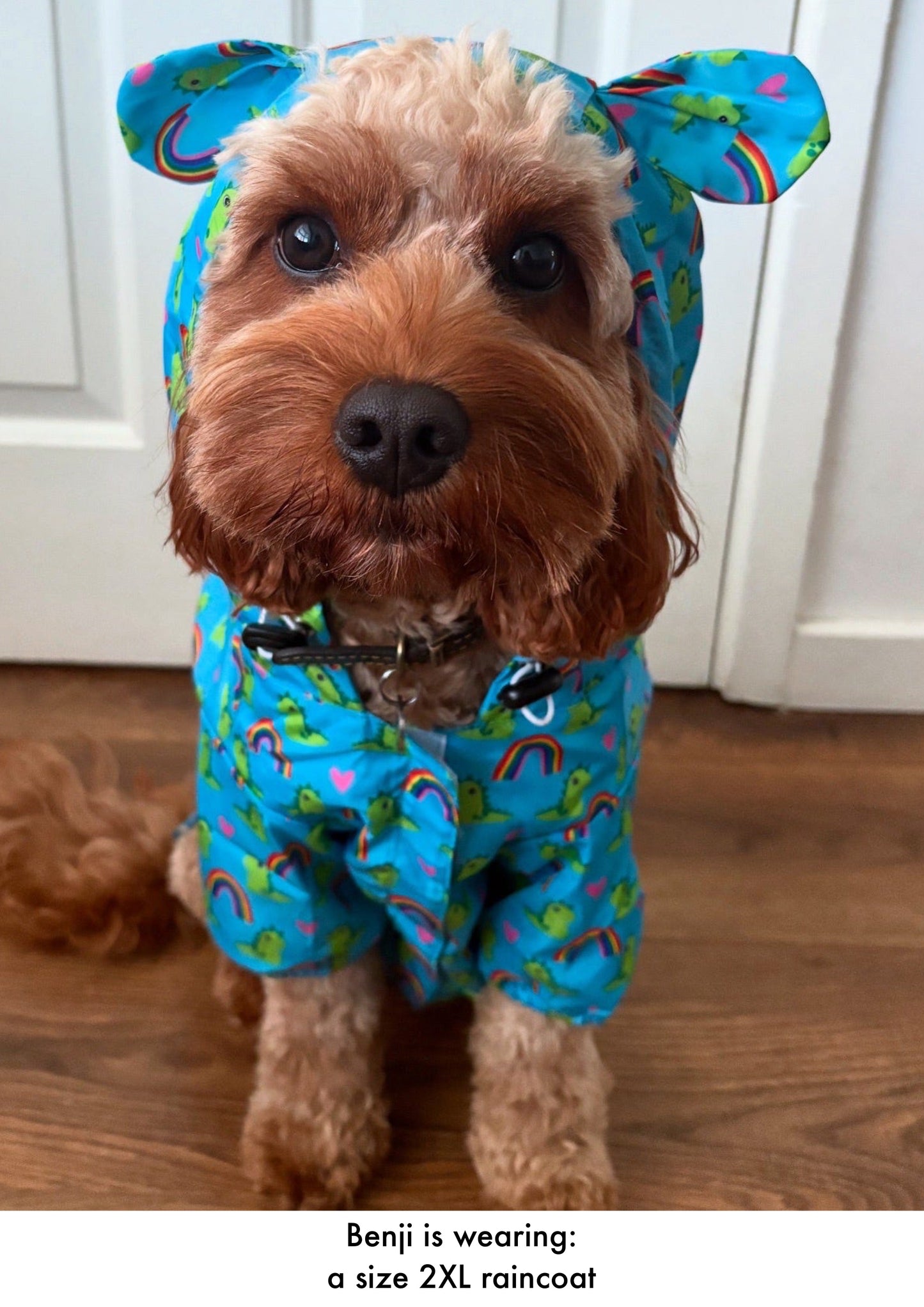 Lil Sea-Saurus - Lightweight Teddy Raincoat - PLEASE CHECK MEASUREMENTS