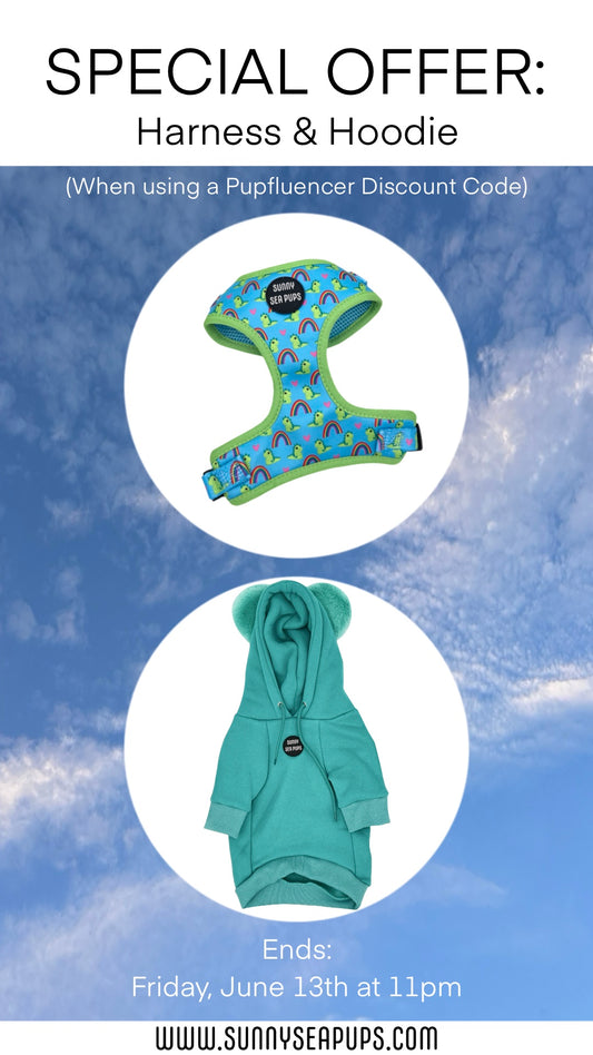Special Offer: Lil Sea-Saurus Harness & Turquoise Hoodie