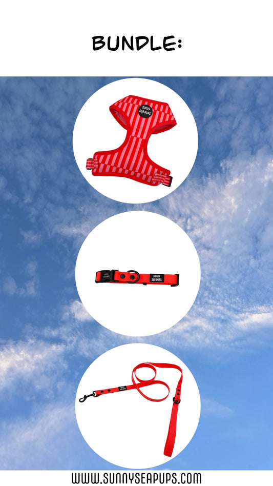 Blush Bay - Bundle 4: Harness, Waterproof Collar & Lead