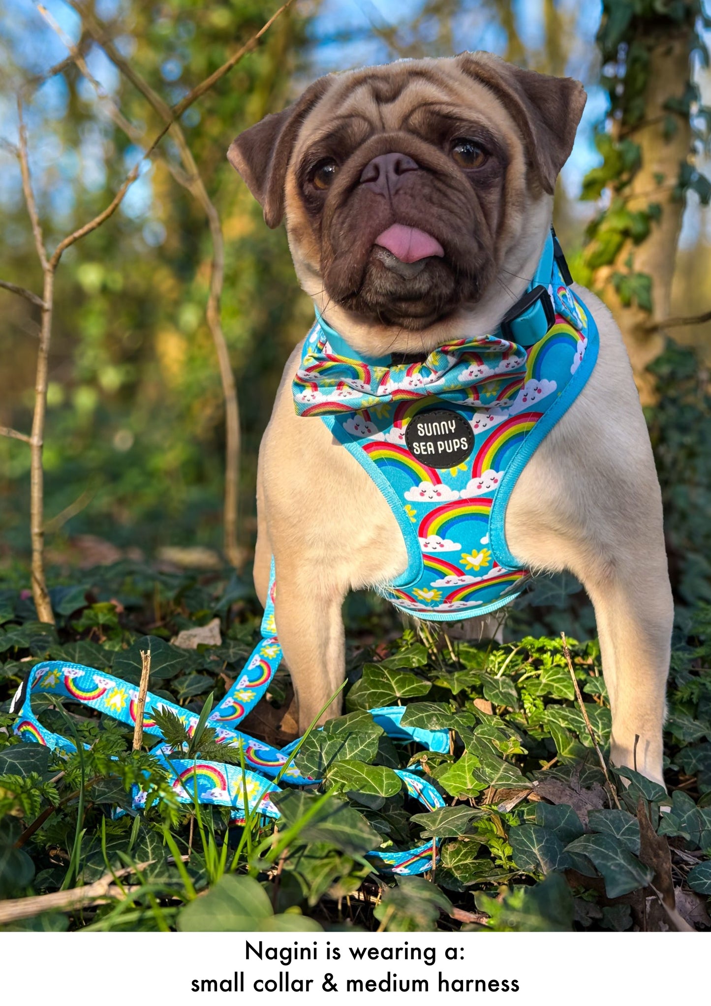 Chasing Rainbows - Adjustable Harness