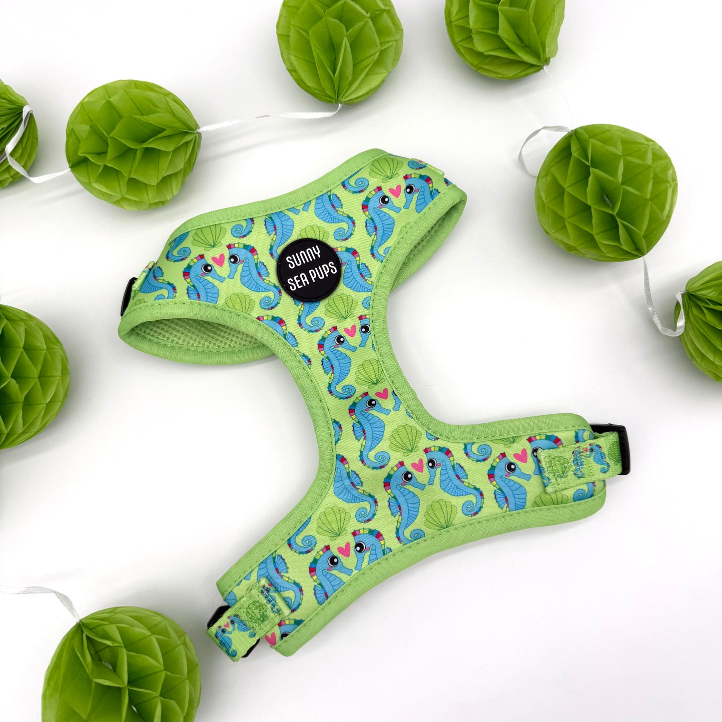 Sea-Pony Club
 - Adjustable Harness