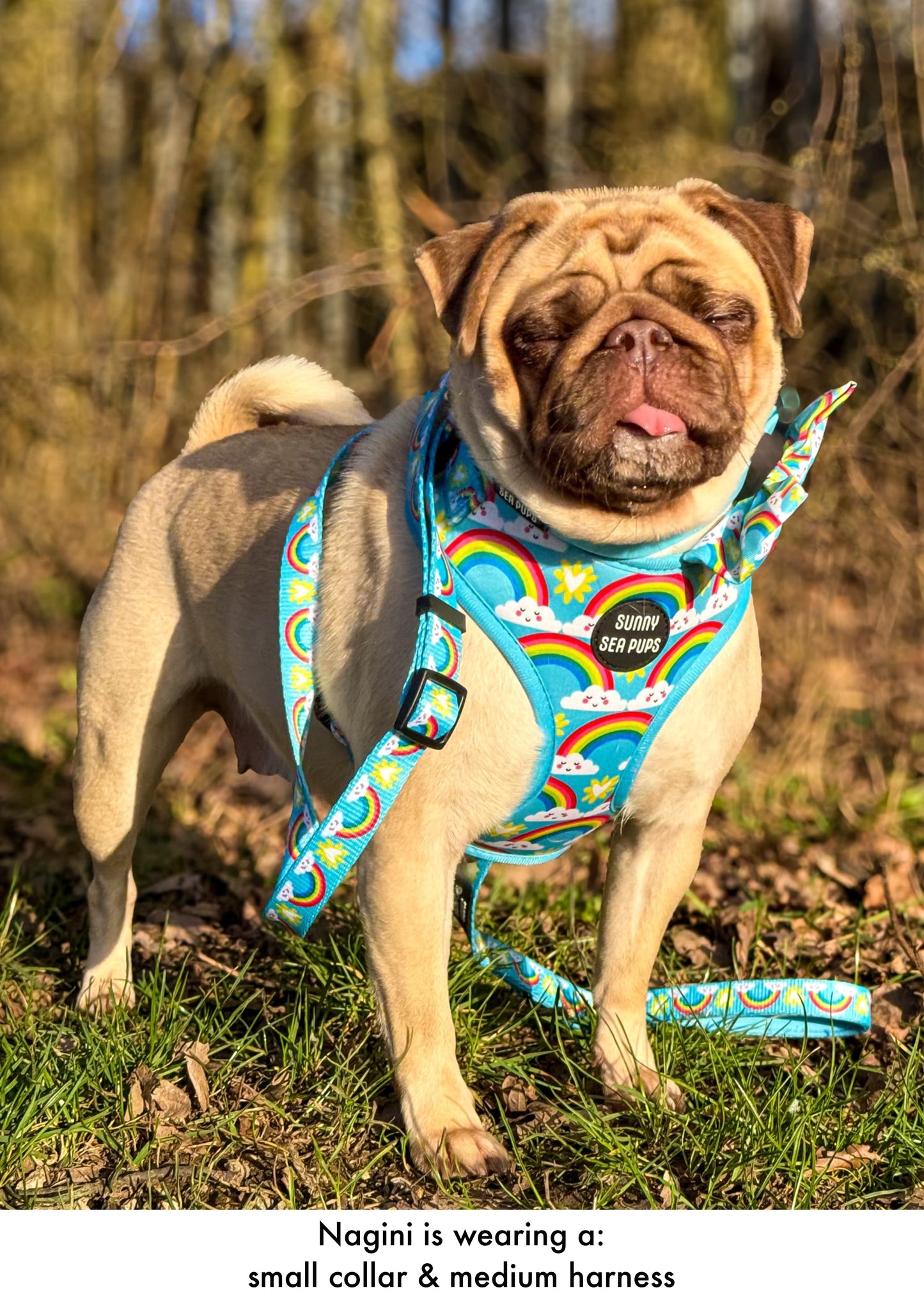 Chasing Rainbows - Adjustable Harness