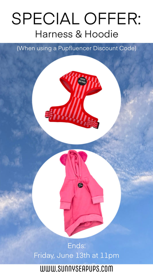 Special Offer: Blush Bay Harness & Pink Hoodie