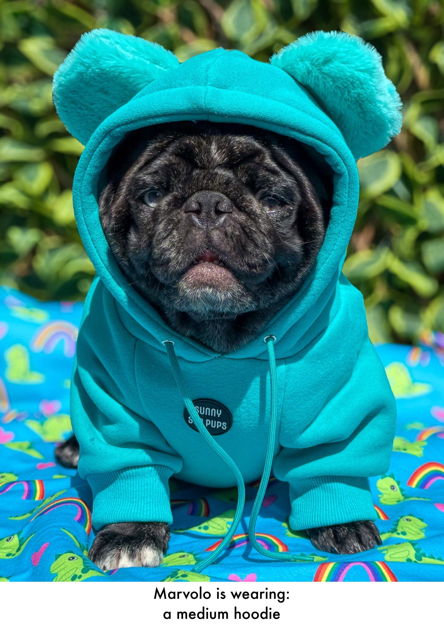 Turquoise - Teddy Bear Hoodie
