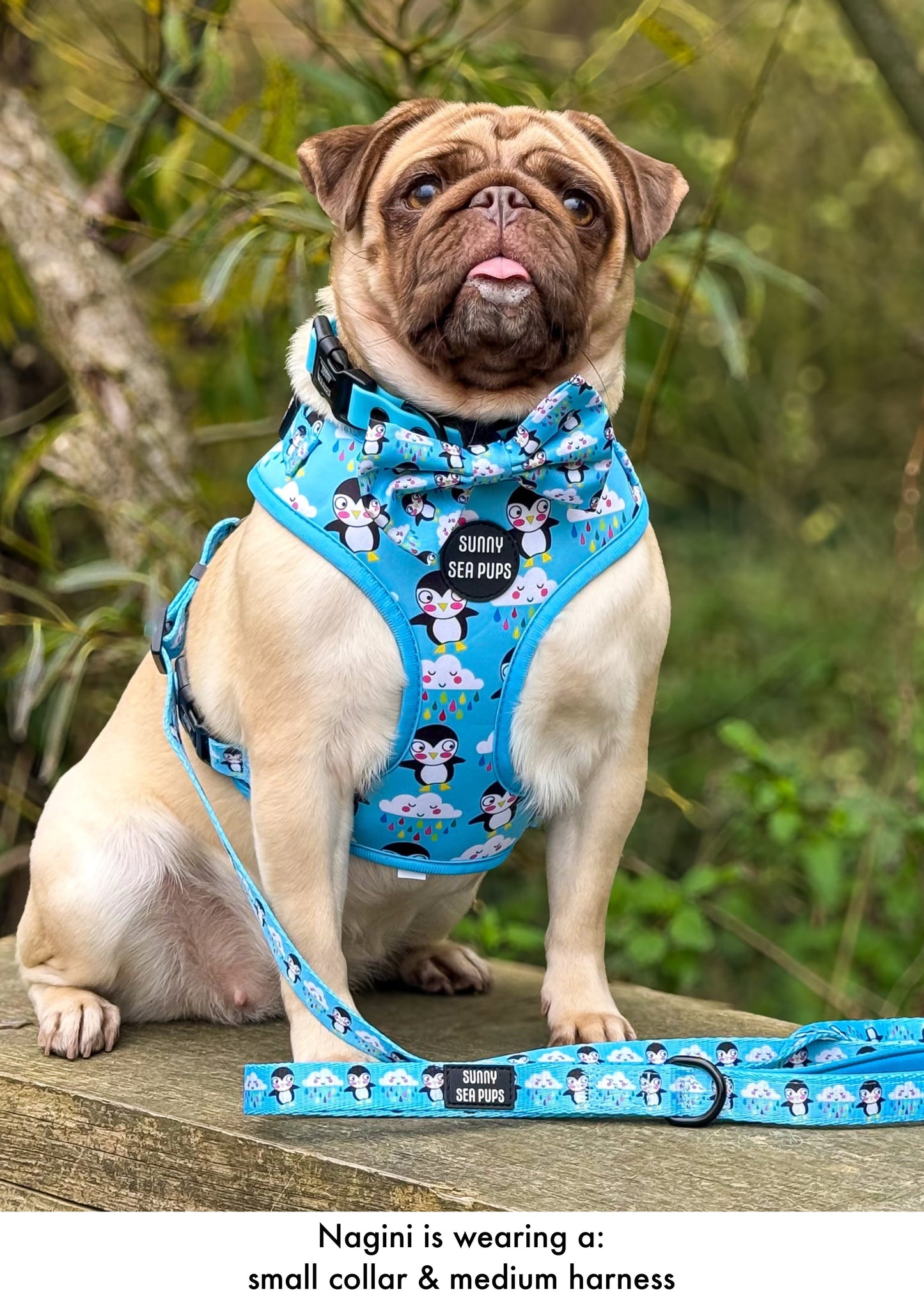 Lil Puddle Penguins - Adjustable Lead