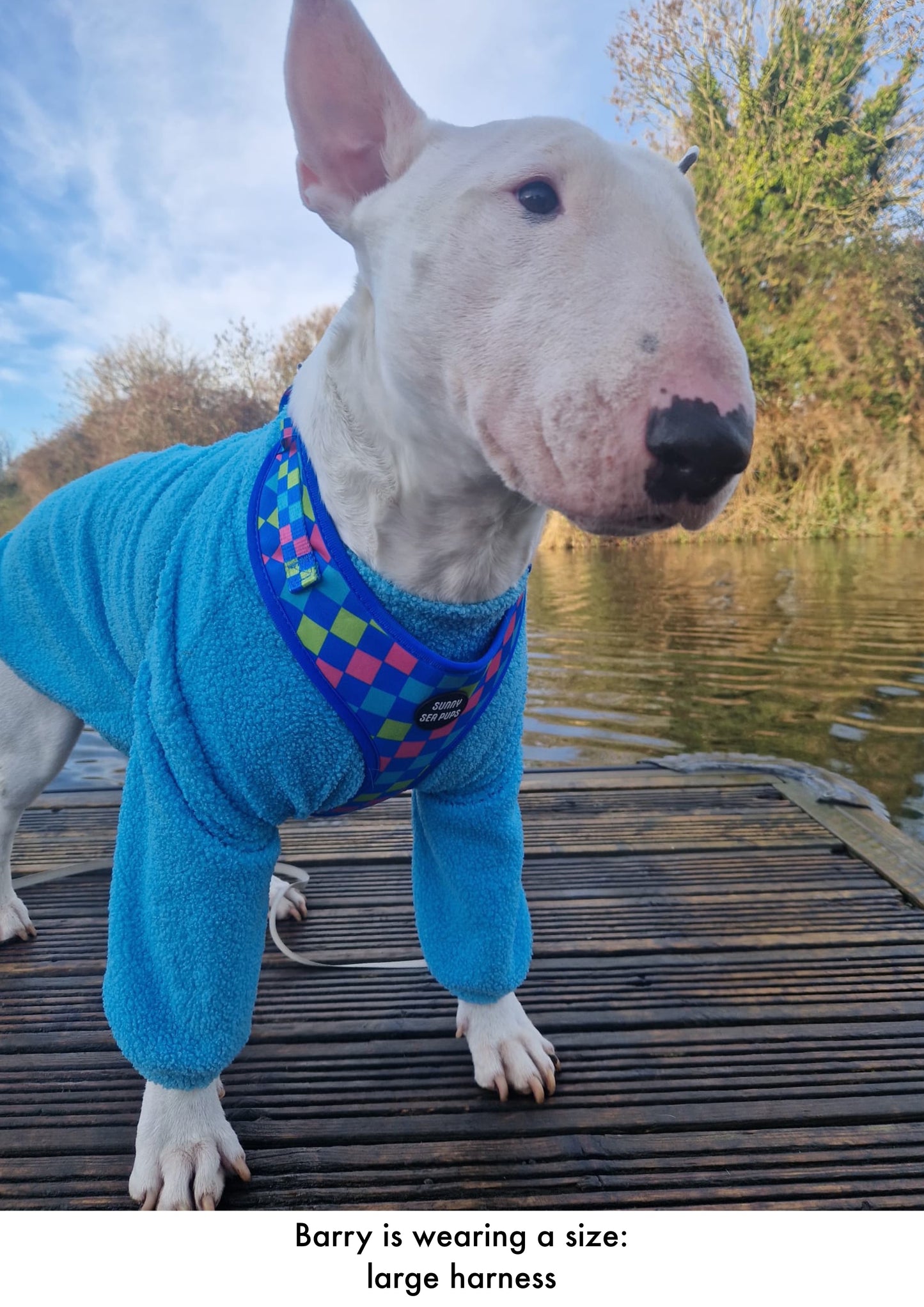 Check the Tides - Adjustable Harness