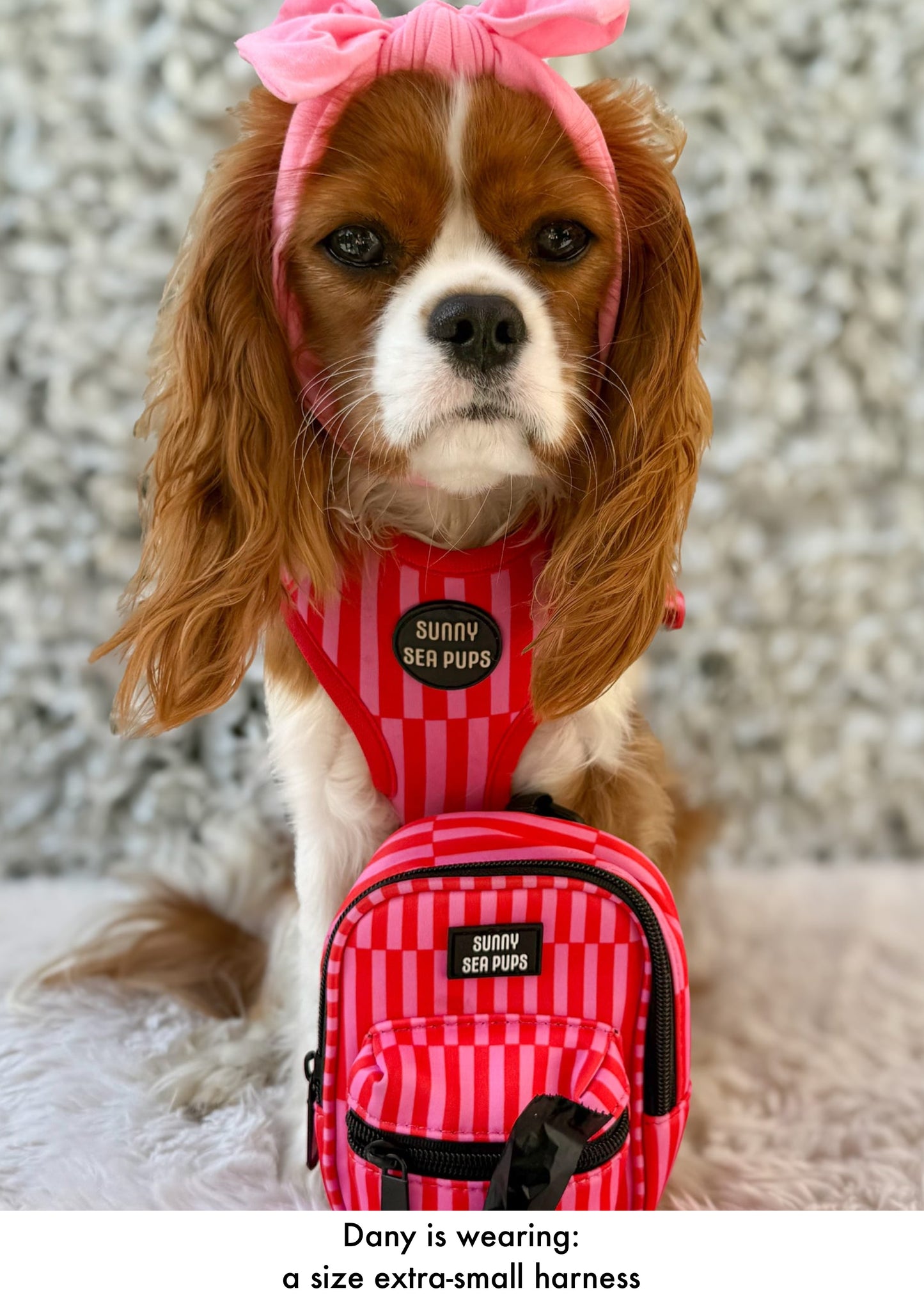 Blush Bay - Tums & Bums Pouch