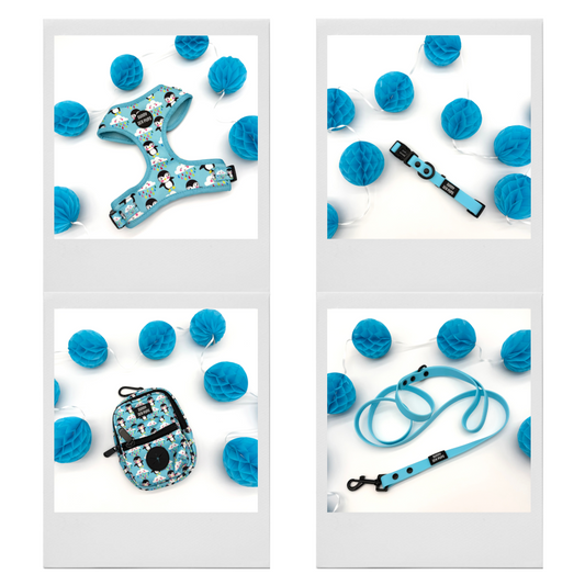Lil Puddle Penguins - Bundle 2: Harness, Tums & Bums Pouch, Waterproof Collar & Lead