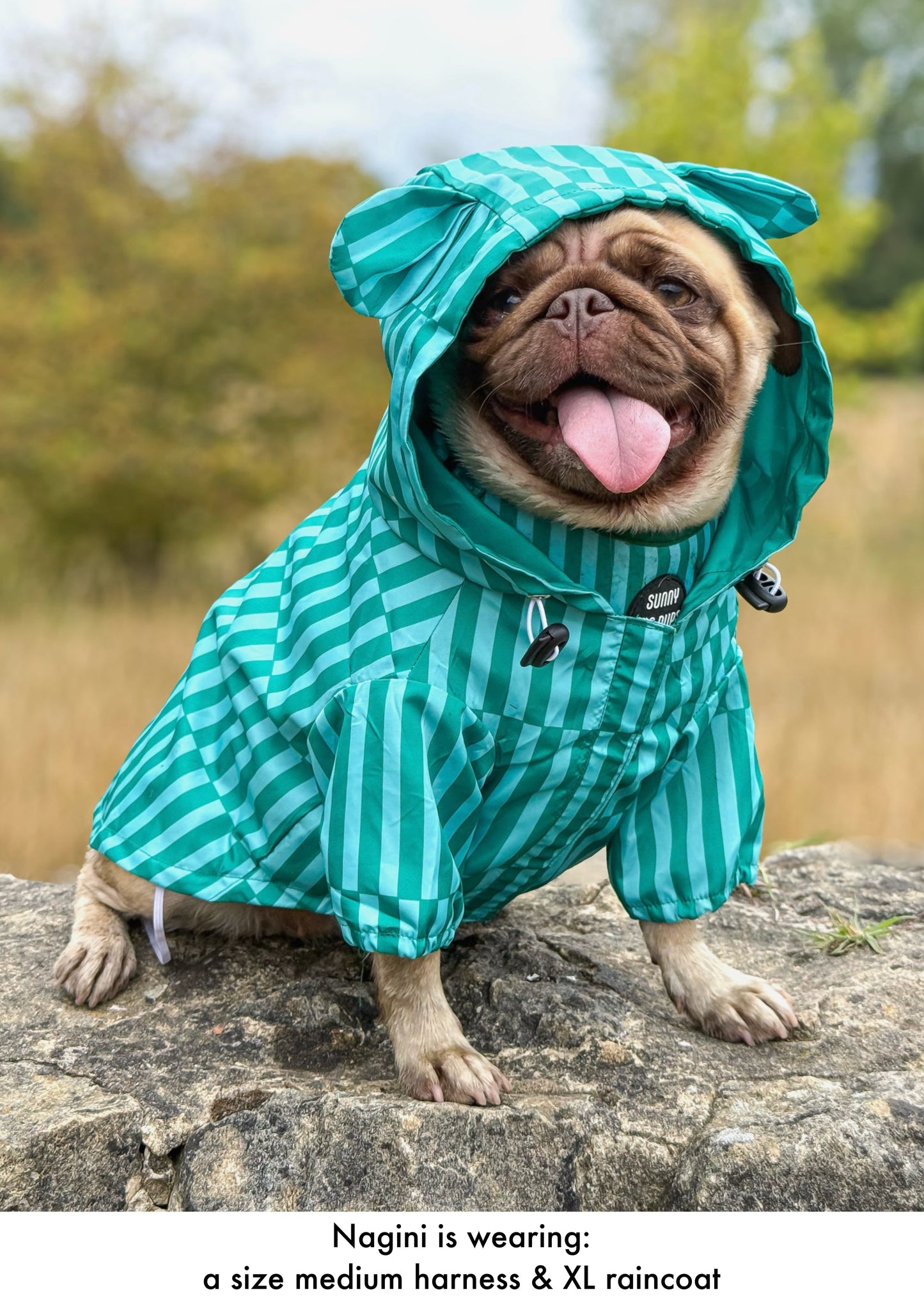 Coastal Calm - Lightweight Teddy Raincoat - PLEASE CHECK MEASUREMENTS