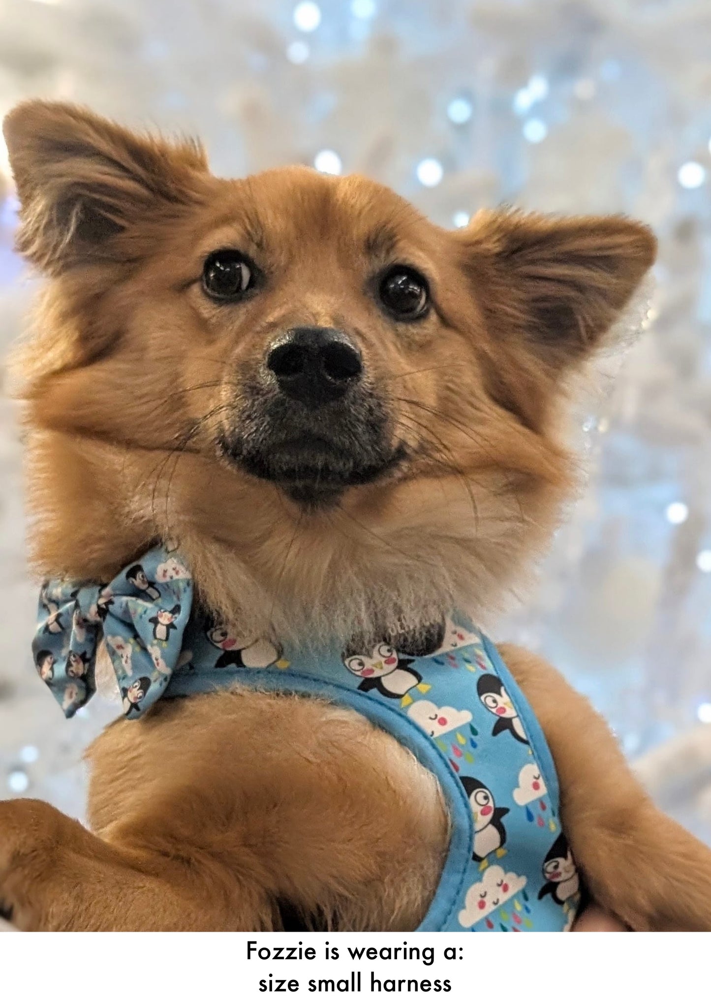 Lil Puddle Penguins - Bow Tie