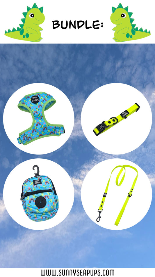 Lil Sea-Saurus - Bundle 2: Harness, Tums & Bums Pouch, Waterproof Collar & Lead