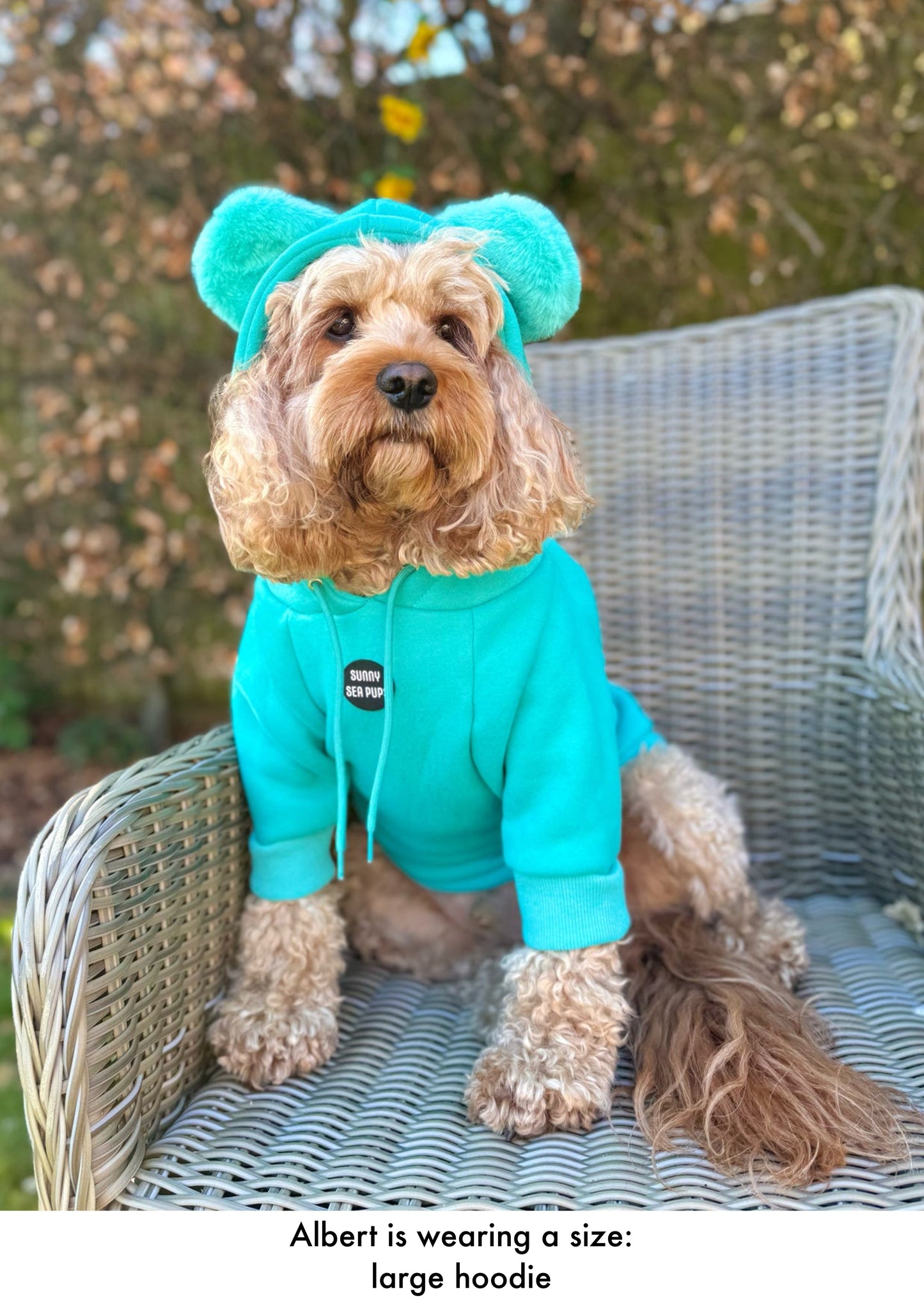Turquoise - Teddy Bear Hoodie