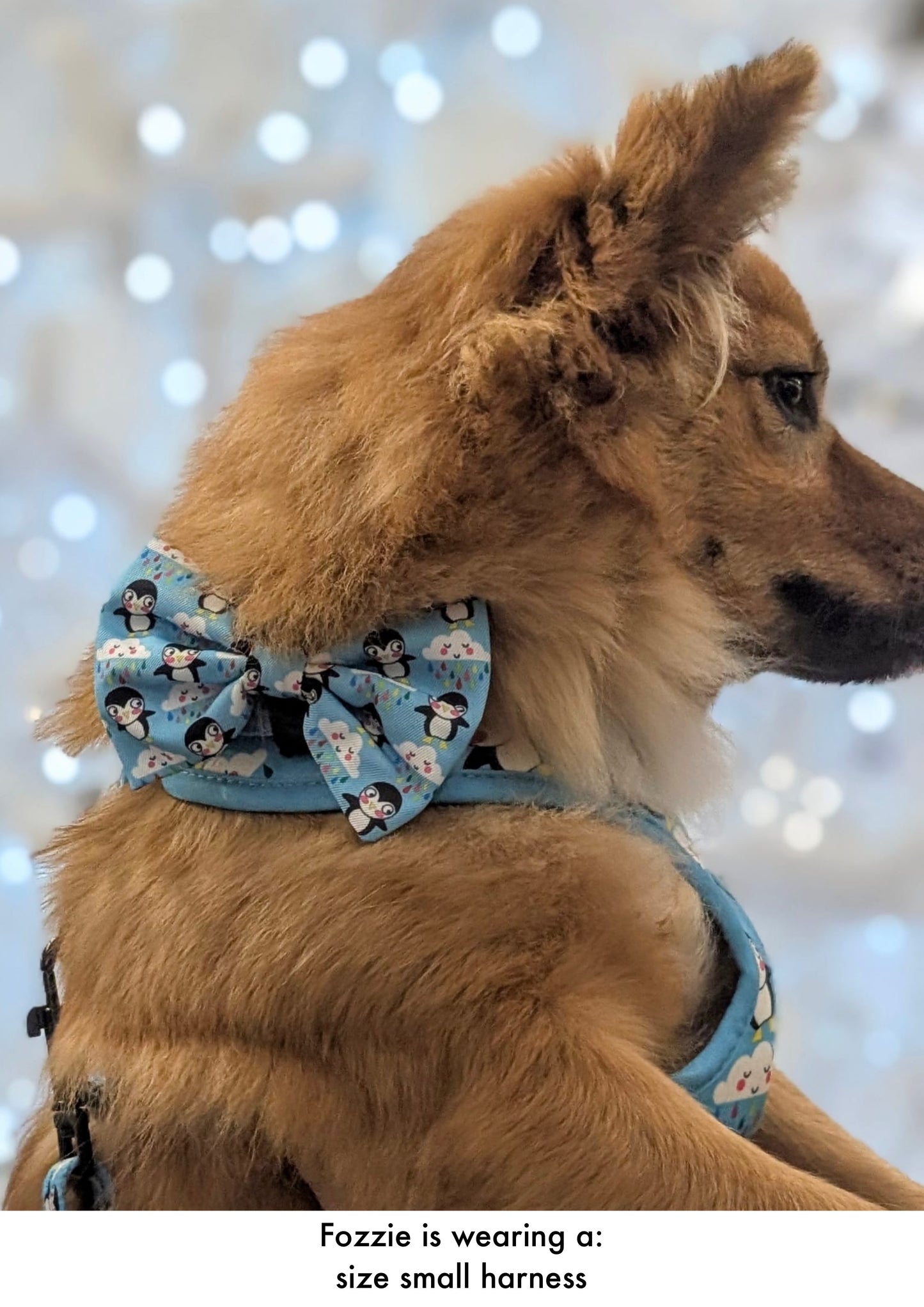 Lil Puddle Penguins - Bow Tie