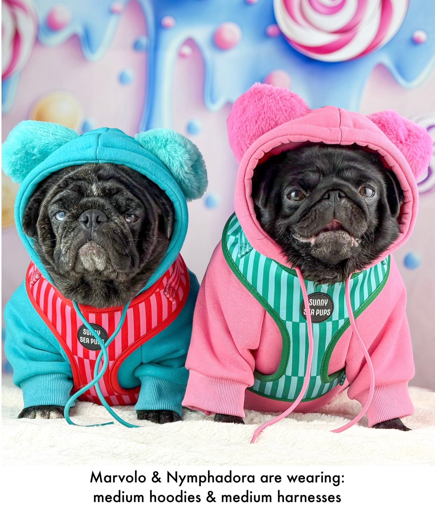 Pink - Teddy Bear Hoodie